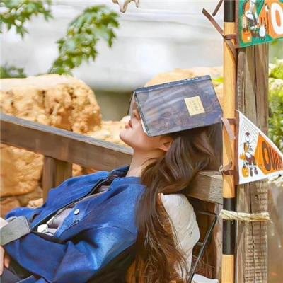 复制品